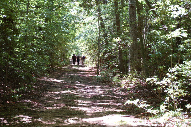 Commune in nature with Baltimore Queer Hike