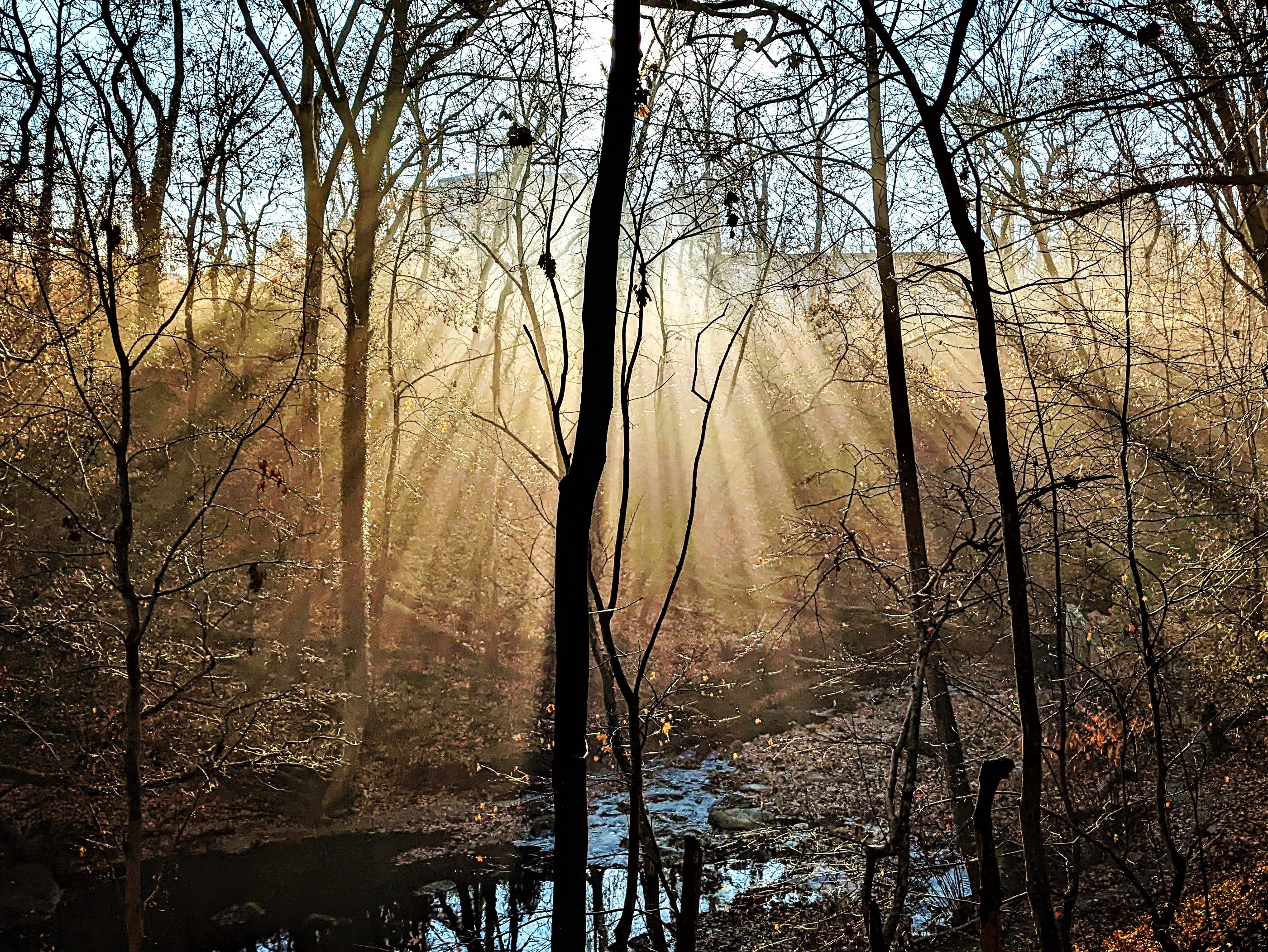 Hope in light of climate change