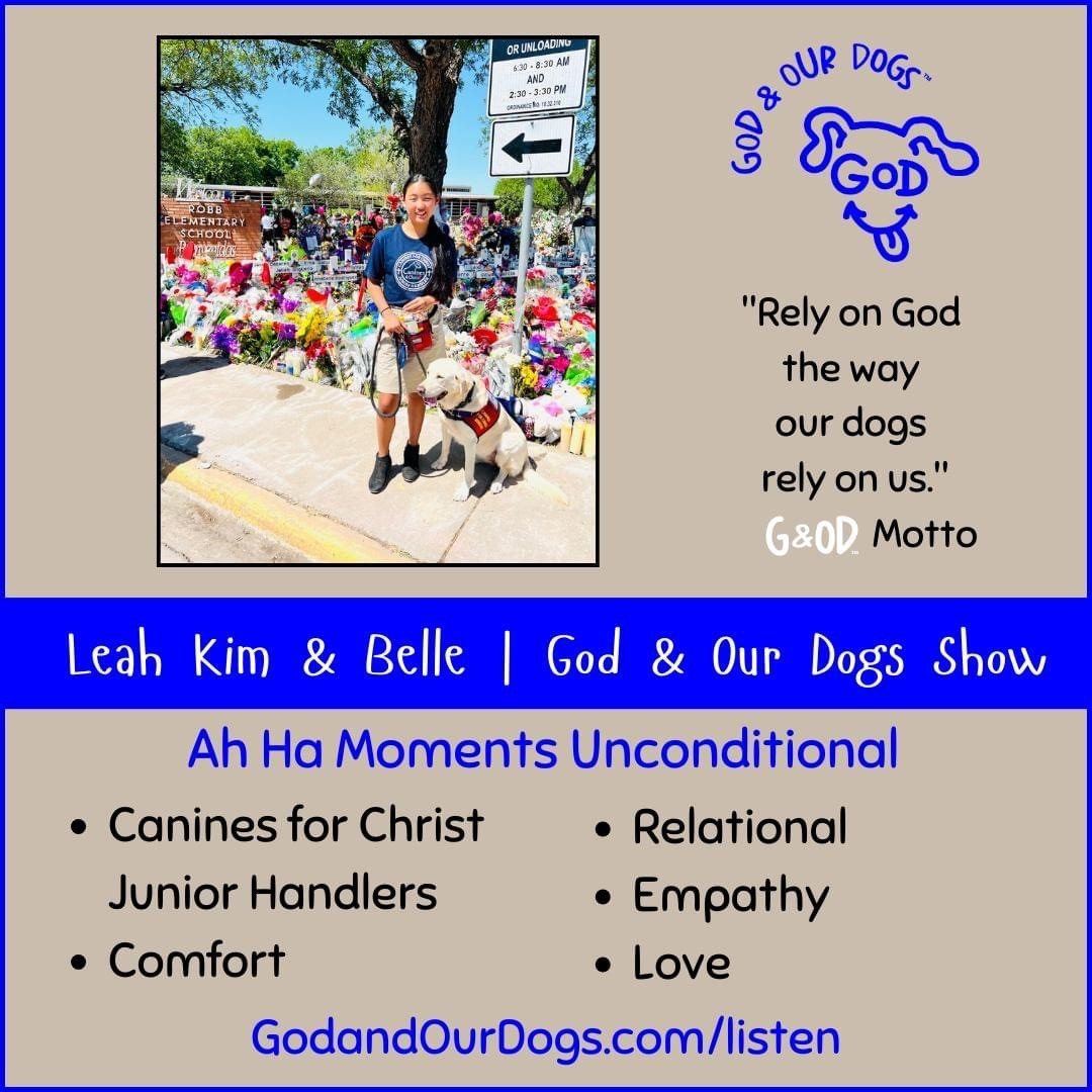 God And Our Dogs with Meg Grier
