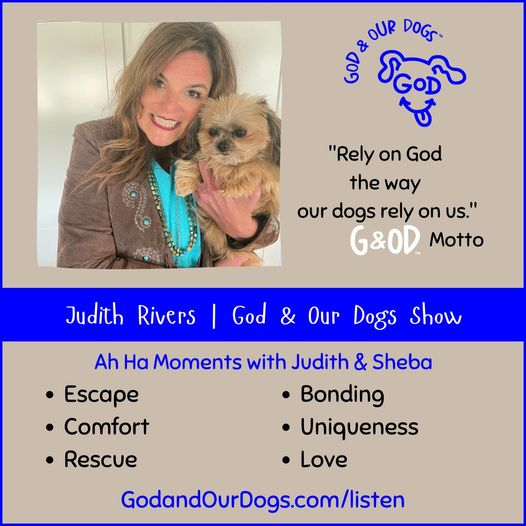 God And Our Dogs with Meg Grier
