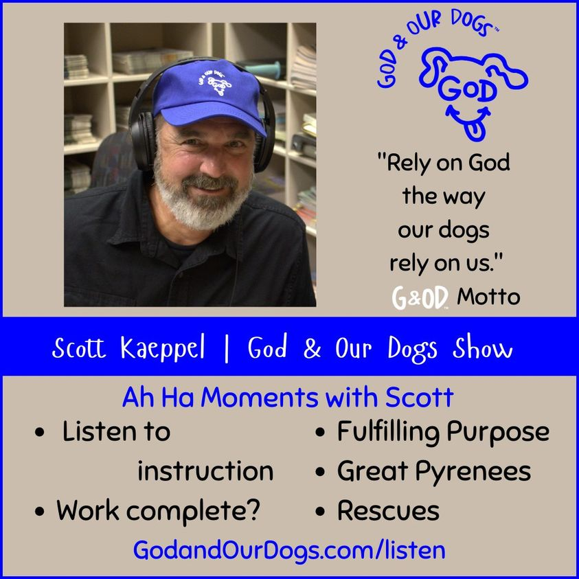 God And Our Dogs with Meg Grier