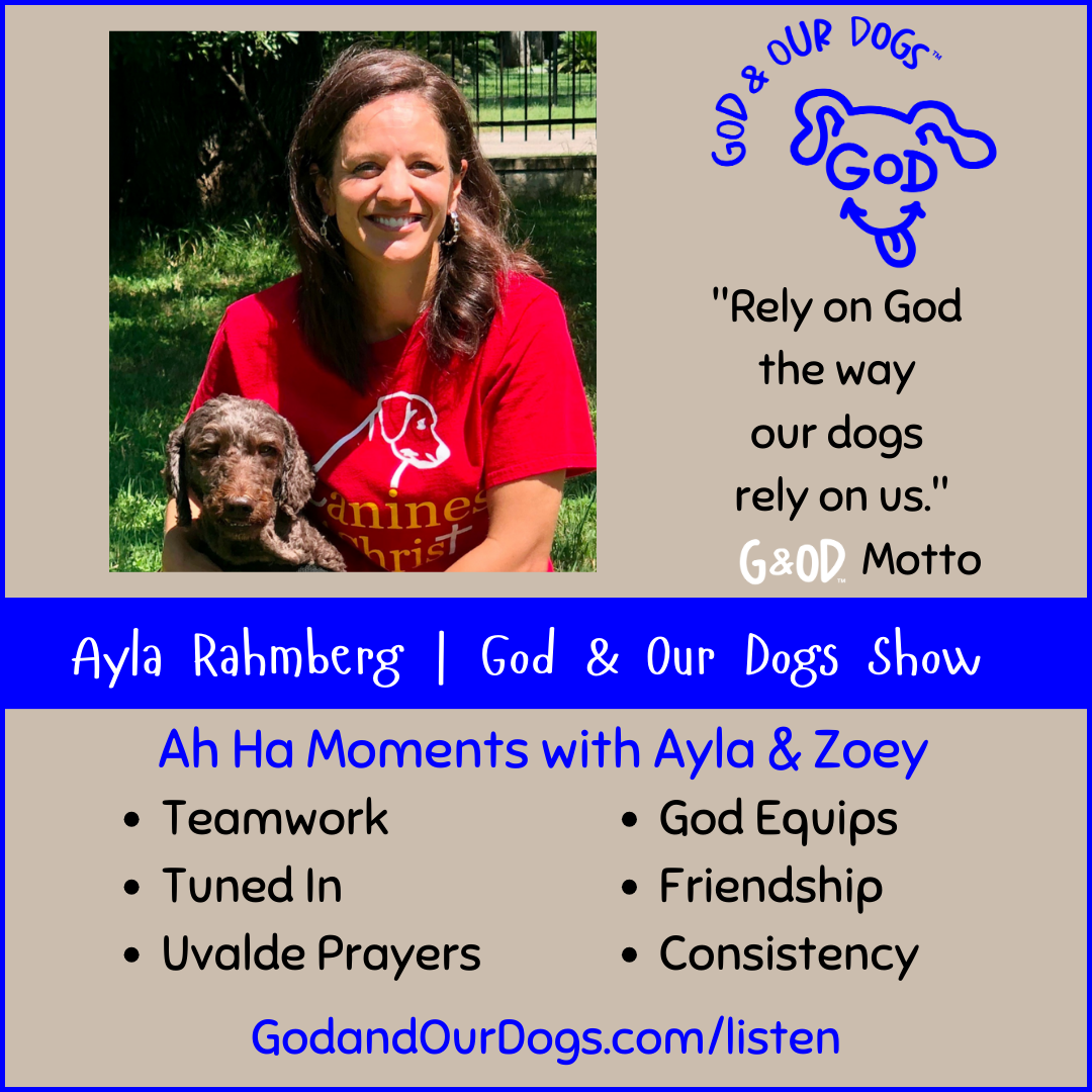 God And Our Dogs with Meg Grier