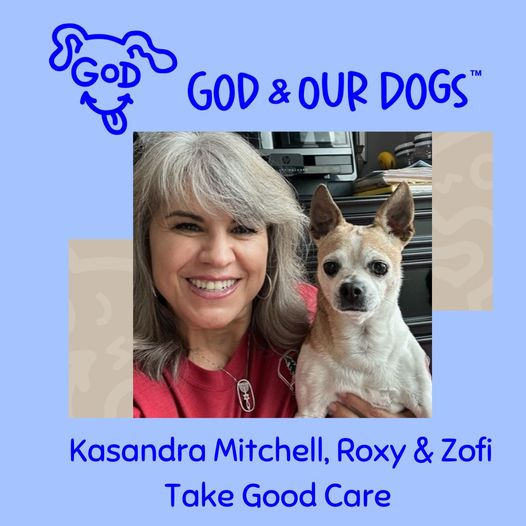 God And Our Dogs with Meg Grier