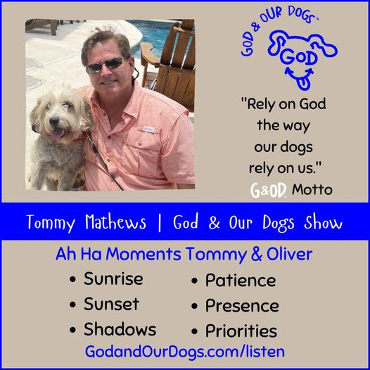 God And Our Dogs with Meg Grier