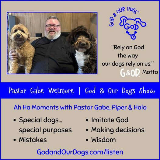 God and Our Dogs with Meg Grier - #336 - Gage Wetmore