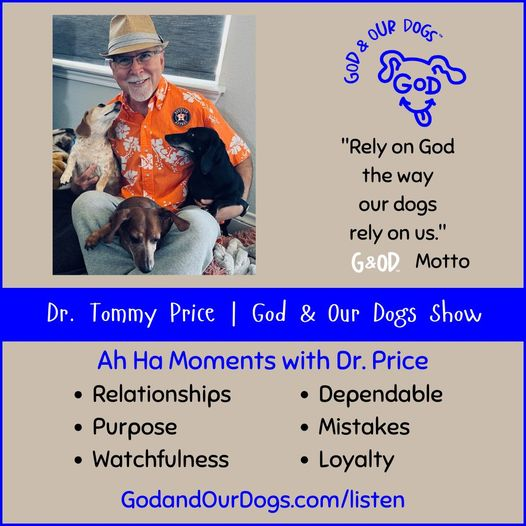 God and Our Dogs with Meg Grier - #329 - Tommy Price