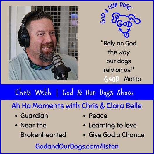God And Our Dogs with Meg Grier