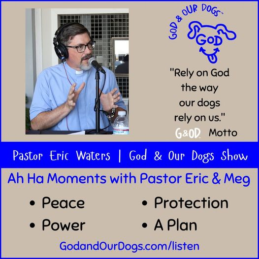God And Our Dogs with Meg Grier