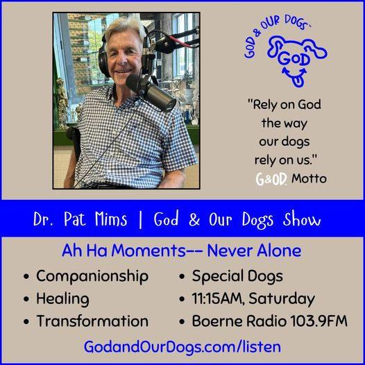 God And Our Dogs with Meg Grier