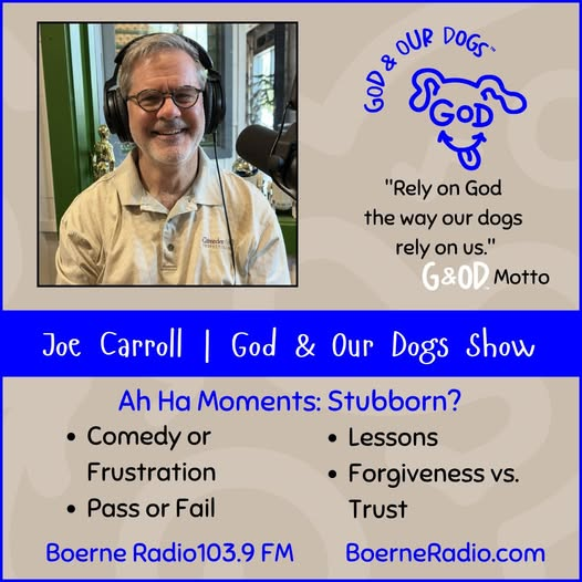 God And Our Dogs - Joe Carroll  7-4-26 episode artwork