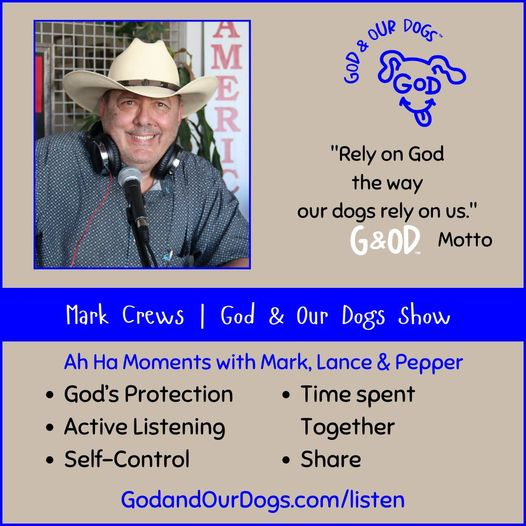 God and Our Dogs with Meg Grier - #338 - Mark Crews