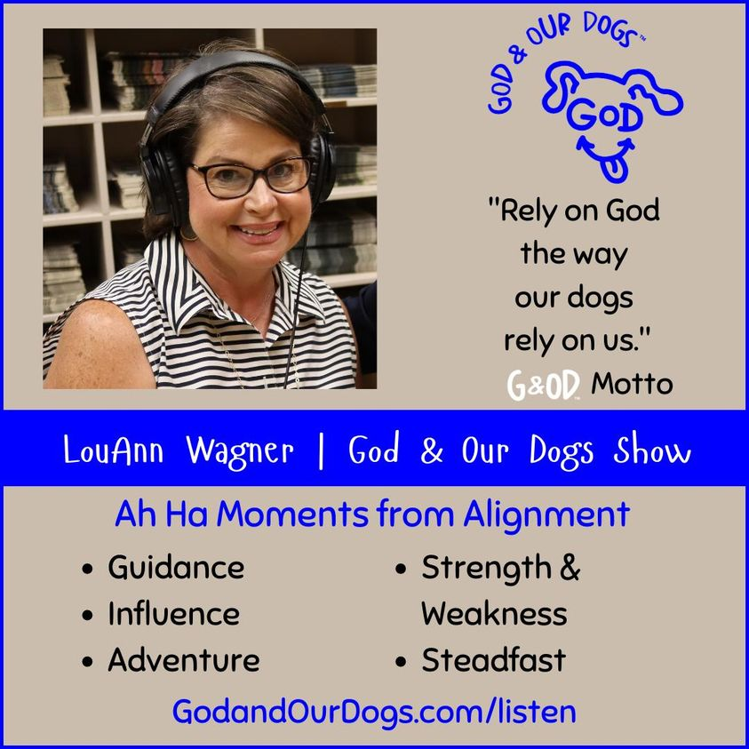 God And Our Dogs with Meg Grier