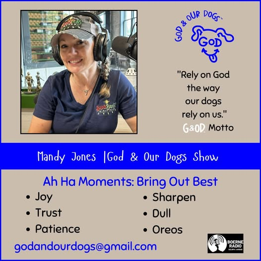 God And Our Dogs with Meg Grier
