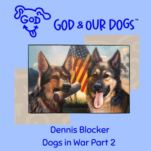 God And Our Dogs with Meg Grier