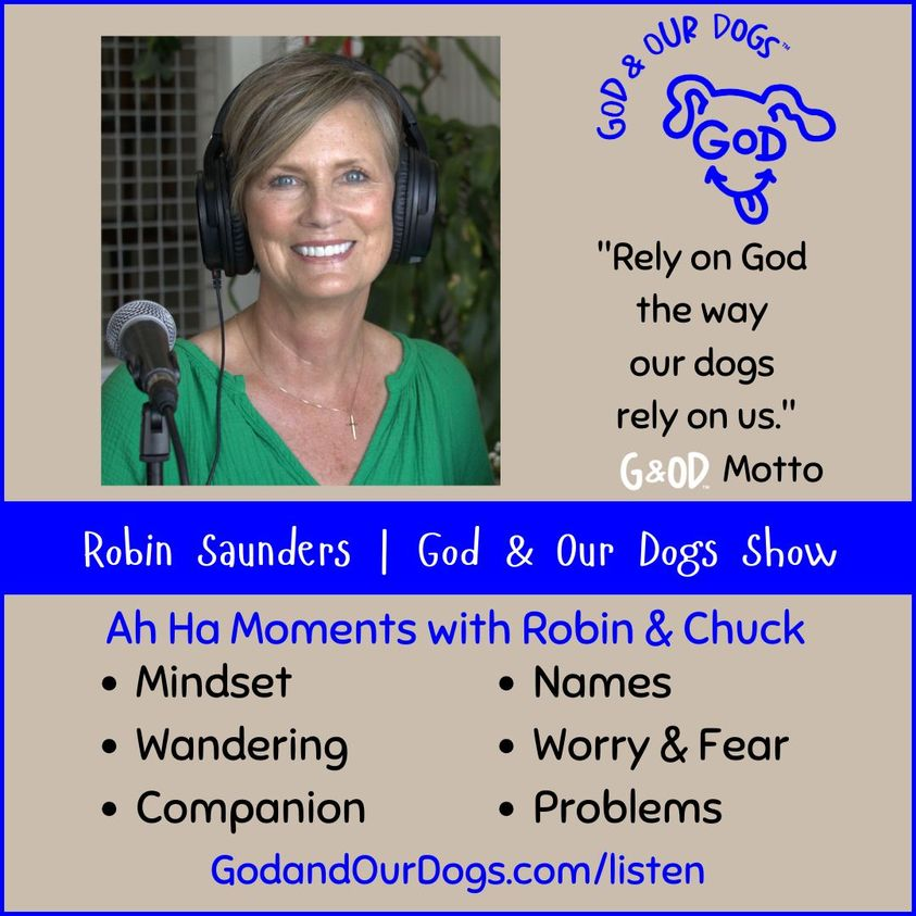 God And Our Dogs with Meg Grier