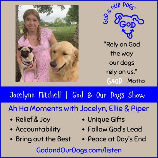 God and Our Dogs  with Meg Grier - #342 - Jocelynn Mitchell
