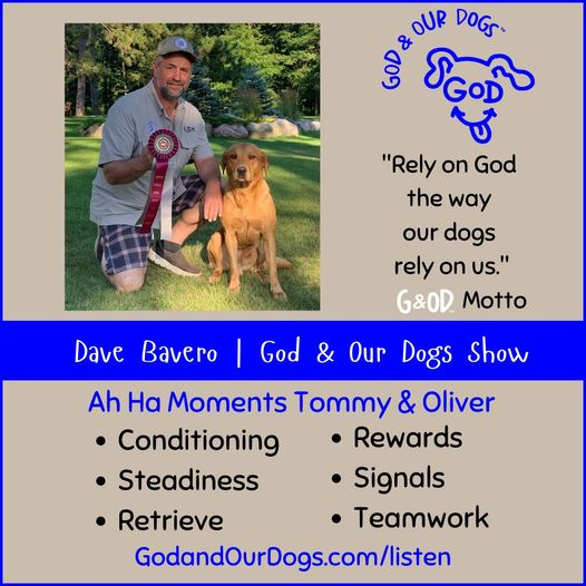 God And Our Dogs with Meg Grier