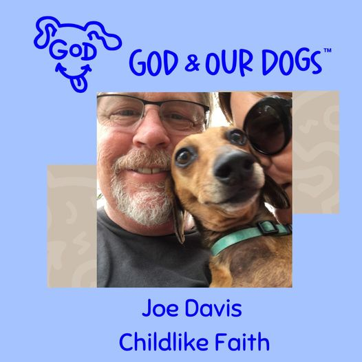 God And Our Dogs with Meg Grier