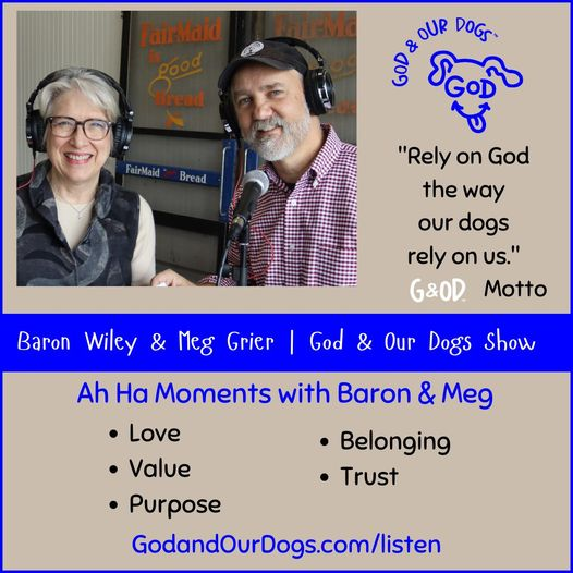 God And Our Dogs with Meg Grier