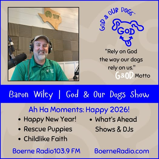 God And Our Dogs with Meg Grier