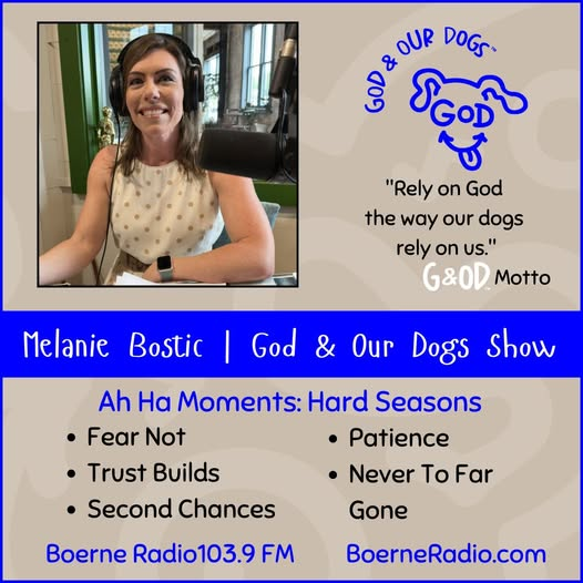 God And Our Dogs - Melanie Bostic  7-18-26 episode artwork