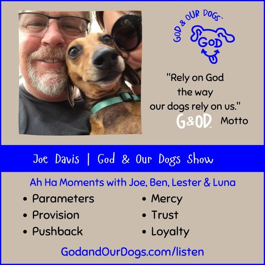 God And Our Dogs with Meg Grier