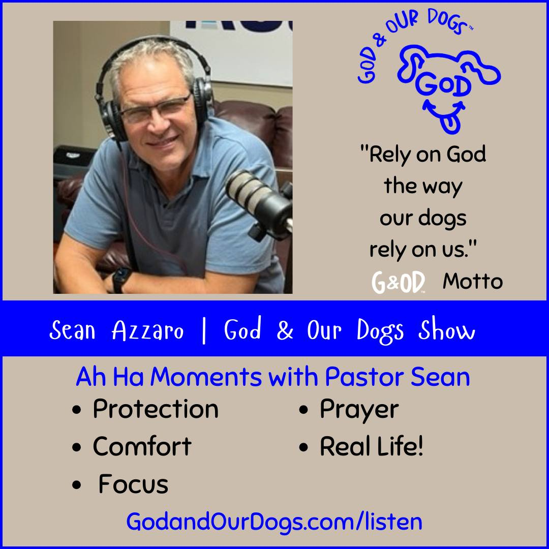 God And Our Dogs with Meg Grier