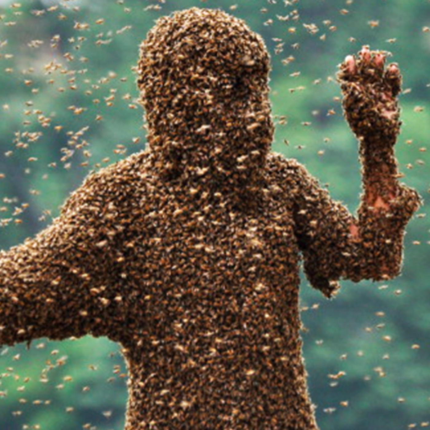 196 - Killer Bees