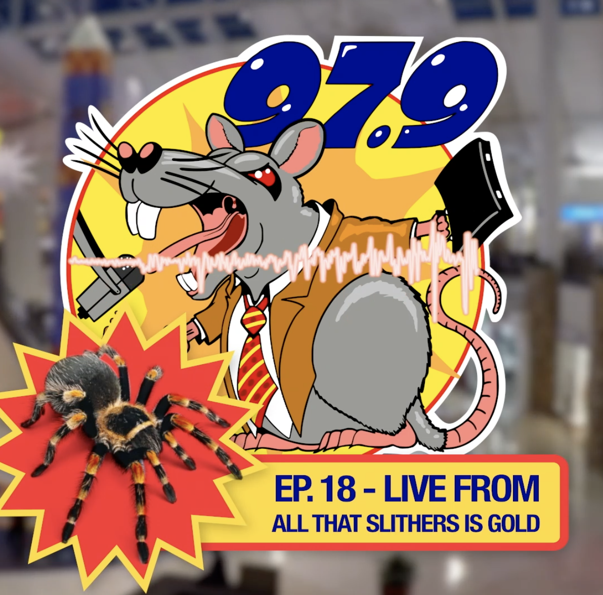 97.9 THE RAT RACE