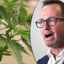 Greens lead renewed push to legalise recreational cannabis use