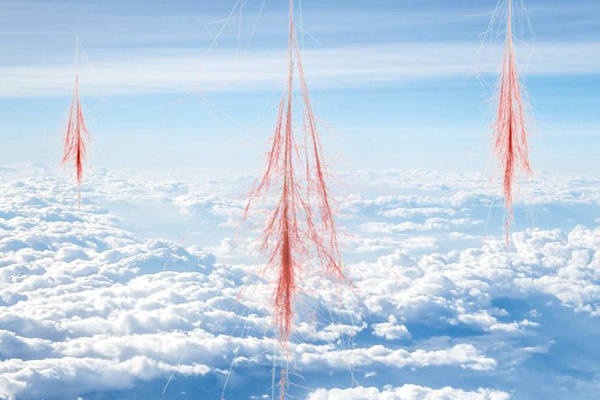 New report disputes man-made climate change