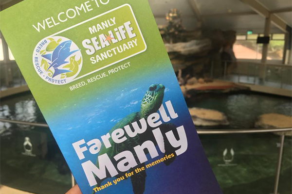 Rob Townsend - Manly Sealife Sanctuary