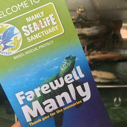 Rob Townsend - Manly Sealife Sanctuary