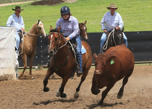 Craig Young - Campdrafting and Rodeo Association