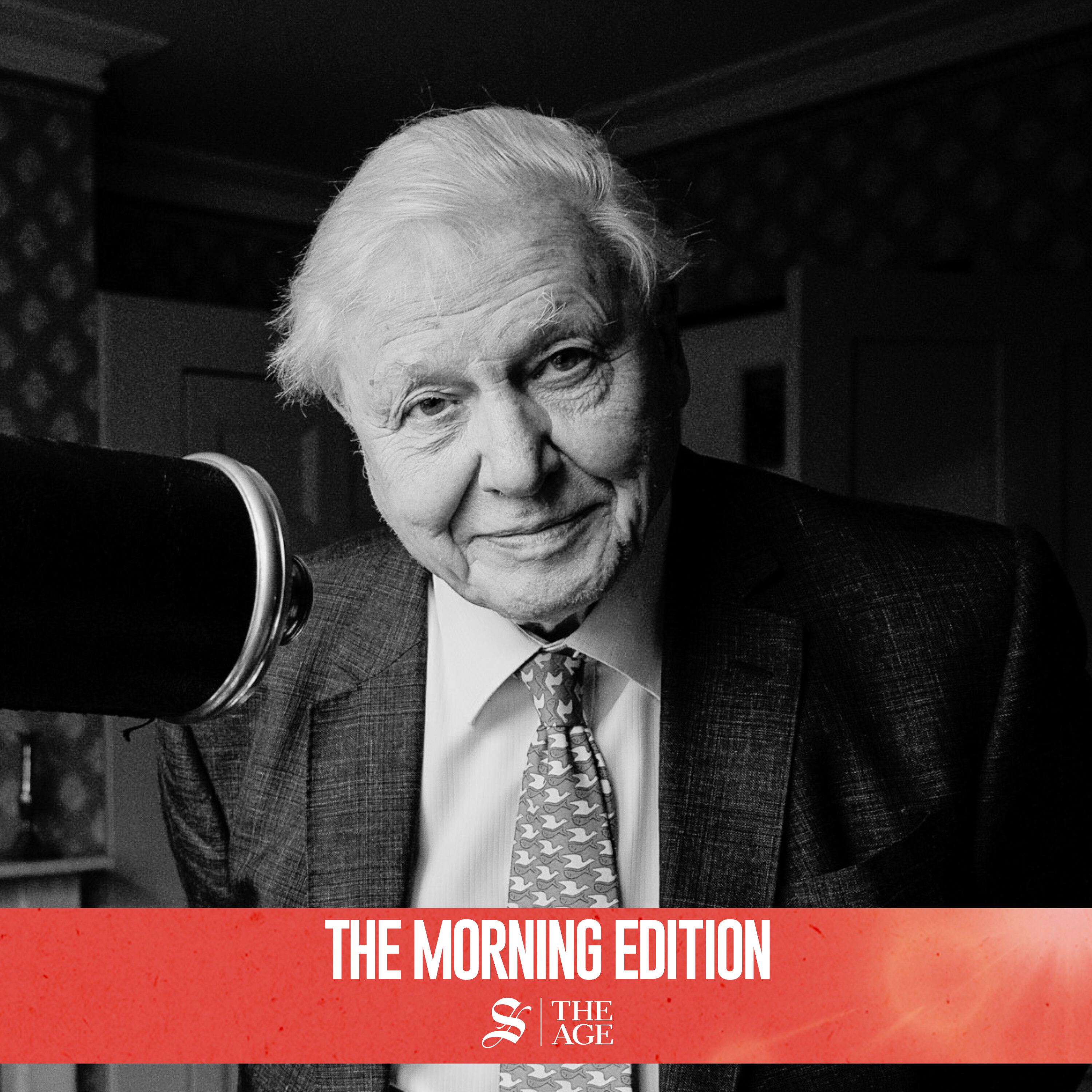 David Attenborough is 100. His legacy may be very different than you think artwork