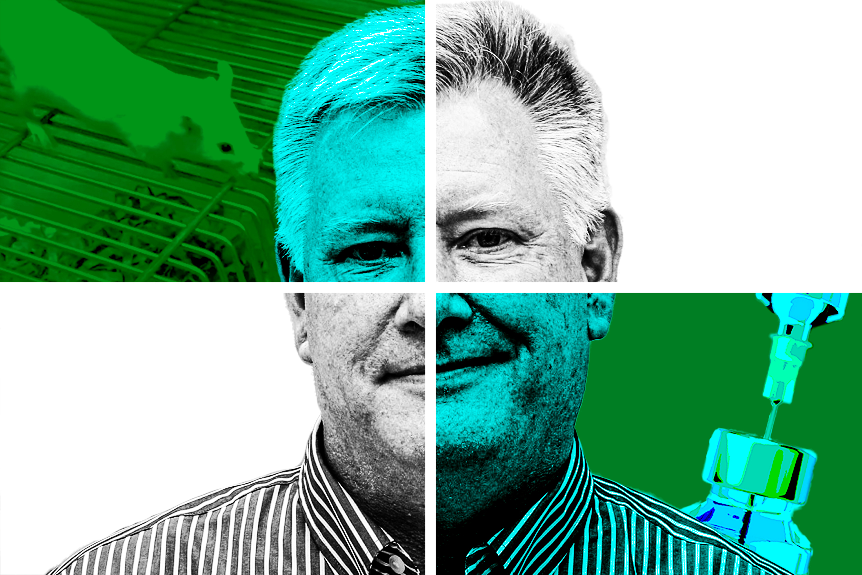 The cancer drug, the faked data and the superstar scientist