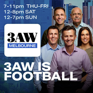Goal umpire from the famous Wayne Harmes incident says the ball was in