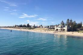 Brendan Gow beach finds