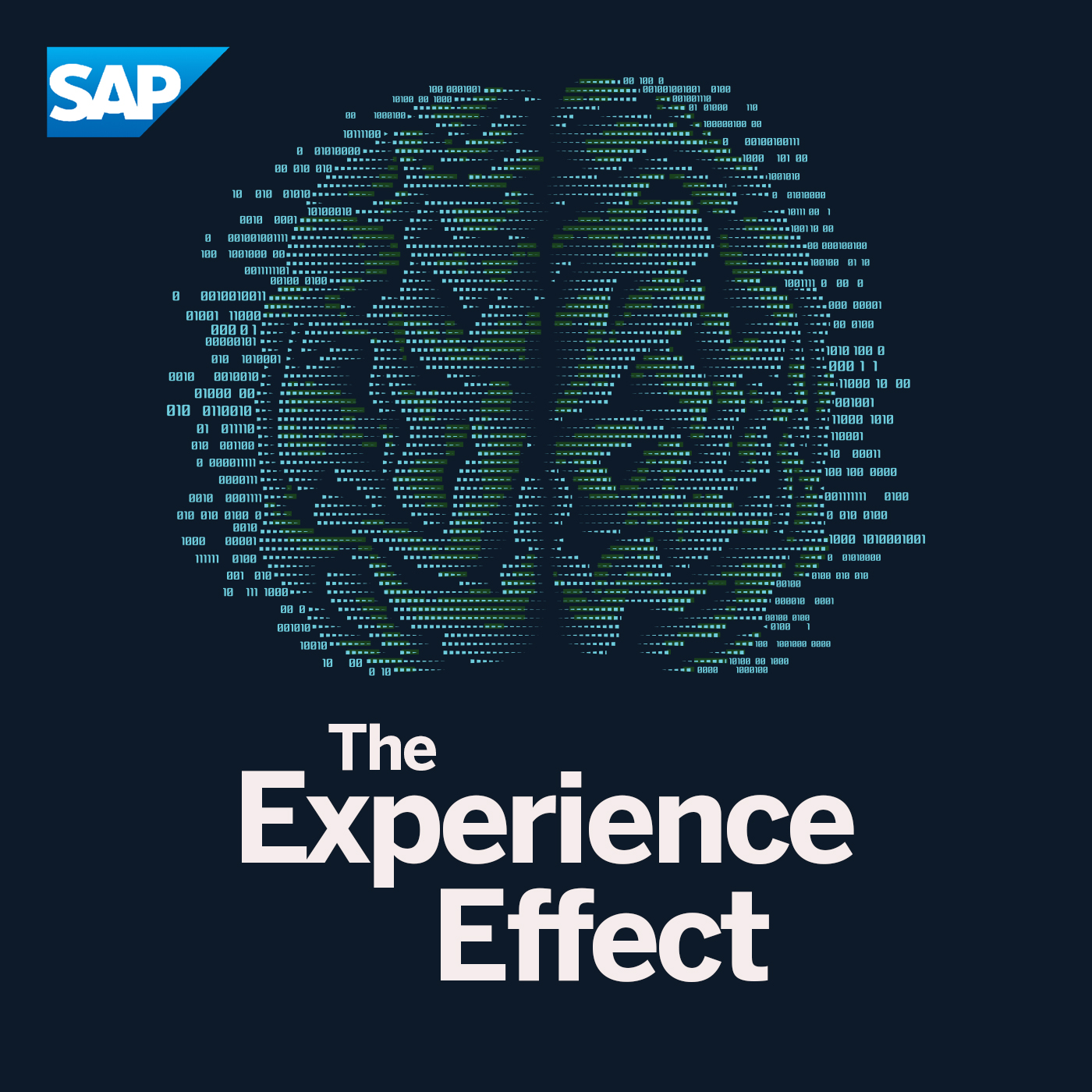 THE EXPERIENCE EFFECT -  EP 5 -  How well do you know your customer — and what they really want?