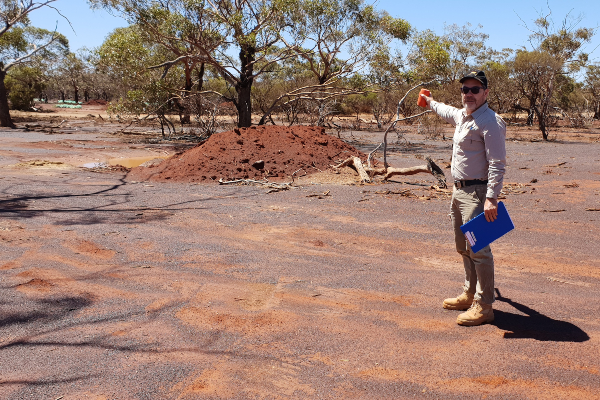 Bulls N’ Bears – Golden Deeps (CEO interview – lead-zinc-vanadium-silver in Namibia)