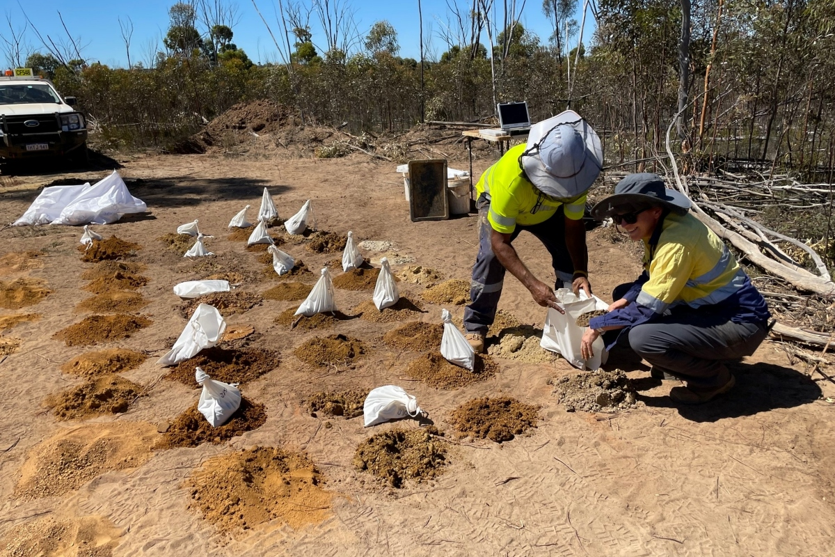 Dynamic Metals: Now this is rare – a brand new nickel sulphide discovery!