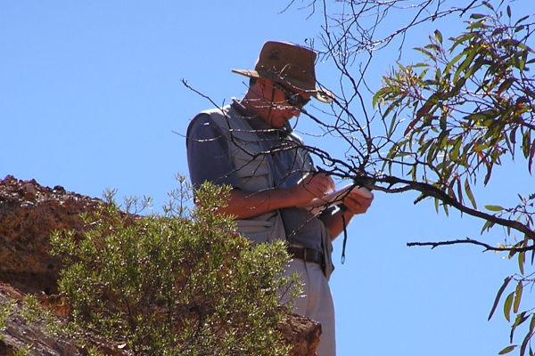 Bulls N’ Bears – Cazaly Resources (MD interview – copper in WA)