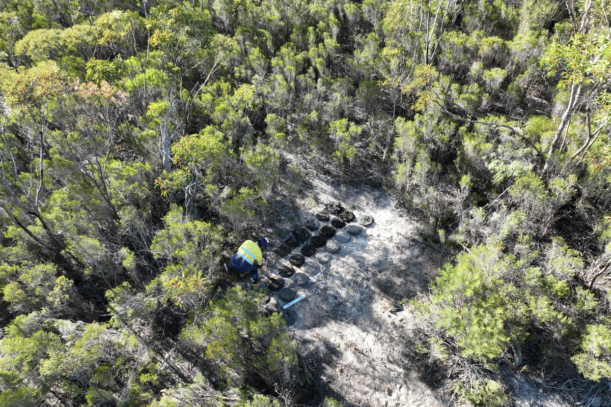 Mount Ridley Mines: The largest gallium resource in Australia found hiding in old drill hole results