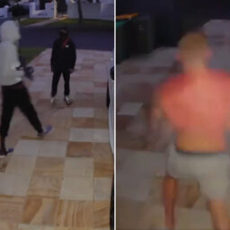 Pro boxer gives would-be thieves the fright of their lives