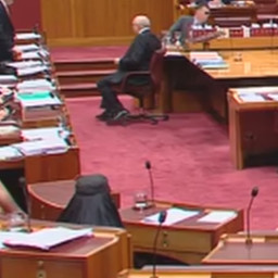 From the Senate: Hanson's protest and Brandis's response
