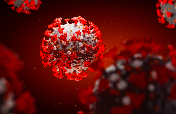 Novavax explained: No 'firm timeframe' yet for more traditional vaccine to fight COVID-19