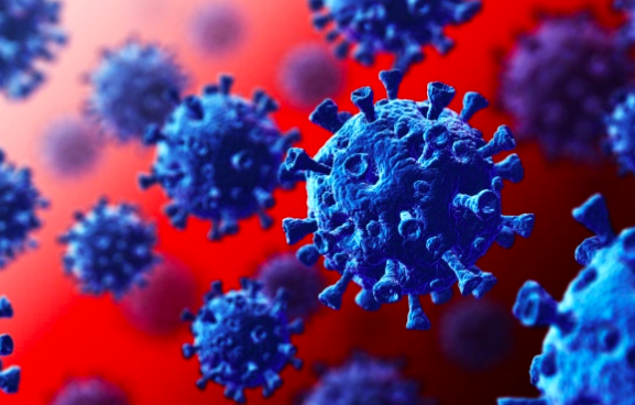 Professor Peter Collignon shares his thoughts into the recommendations of the report into the Hotel Grand Chancellor cluster