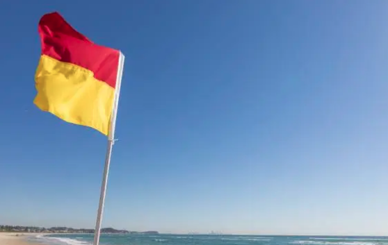Should people be fined if they fail to swim between the flags?