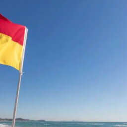Should people be fined if they fail to swim between the flags?