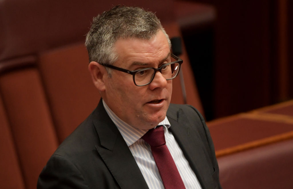 Senator Murray Watt reflects on Labor's performance in Queensland